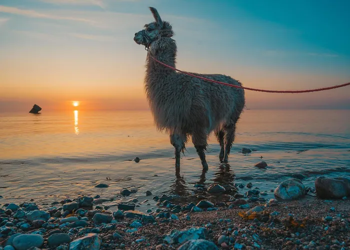 Appartamento Twister *