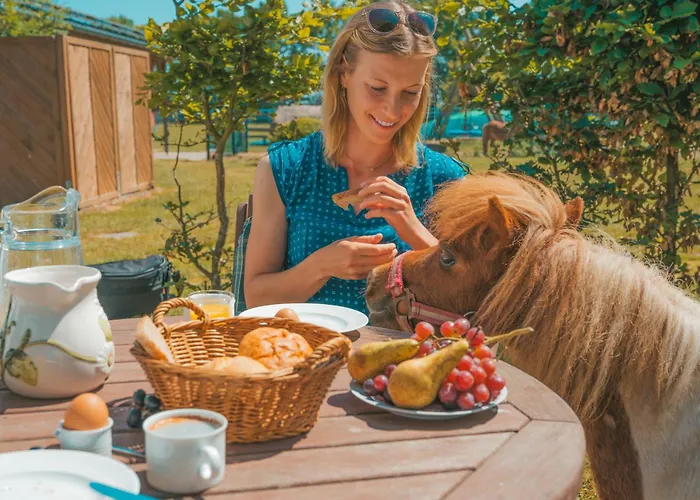 Twister Appartamento